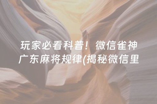 玩家必看科普！微信雀神广东麻将规律(揭秘微信里胡牌神器)