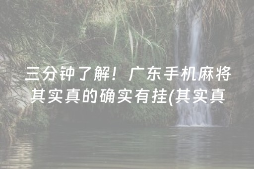 三分钟了解！广东手机麻将其实真的确实有挂(其实真的有挂)