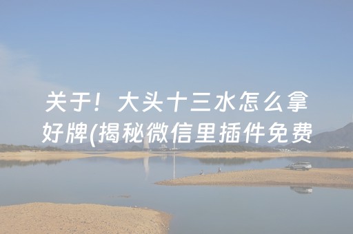 关于！大头十三水怎么拿好牌(揭秘微信里插件免费)