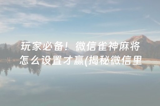 玩家必备！微信雀神麻将怎么设置才赢(揭秘微信里插件下载)