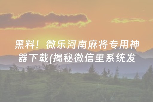 黑料！微乐河南麻将专用神器下载(揭秘微信里系统发好牌)