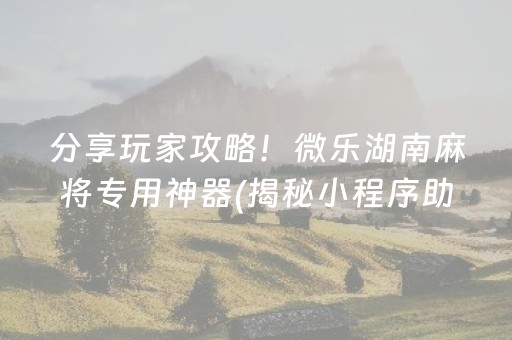 分享玩家攻略！微乐湖南麻将专用神器(揭秘小程序助攻神器)