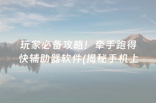 玩家必备攻略！牵手跑得快辅助器软件(揭秘手机上胡牌神器)