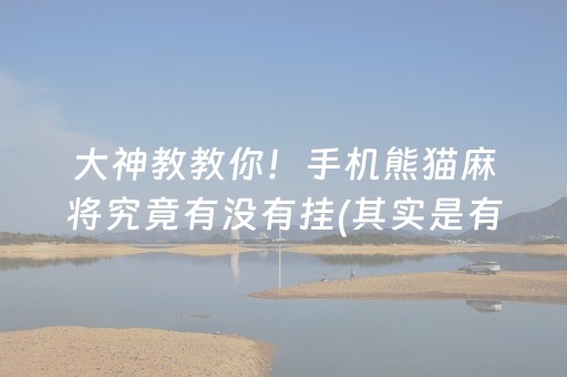 大神教教你！手机熊猫麻将究竟有没有挂(其实是有挂确实有挂)