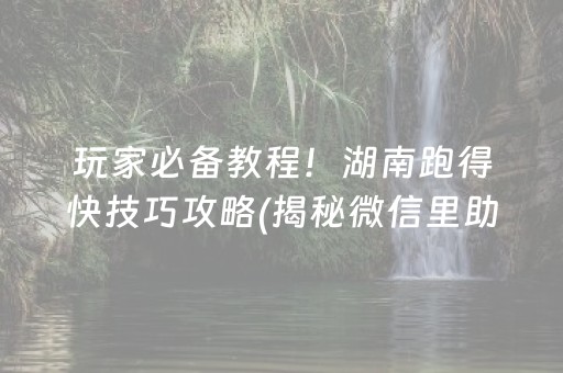 玩家必备教程！湖南跑得快技巧攻略(揭秘微信里助赢软件)