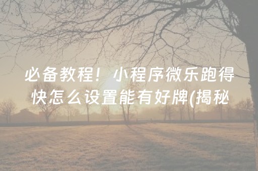 必备教程！小程序微乐跑得快怎么设置能有好牌(揭秘微信里专用神器下载)