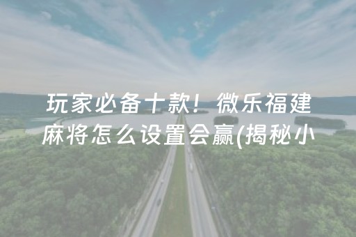 玩家必备十款！微乐福建麻将怎么设置会赢(揭秘小程序最新神器下载)