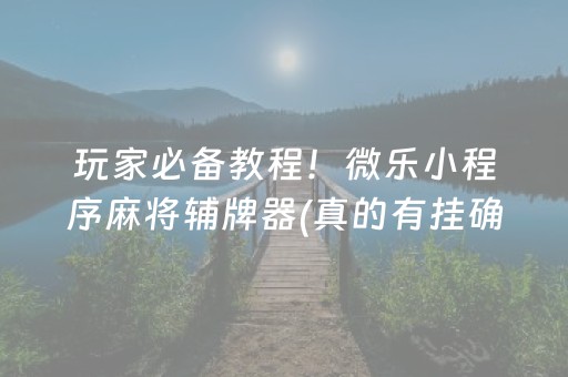 玩家必备教程！微乐小程序麻将辅牌器(真的有挂确实有挂)