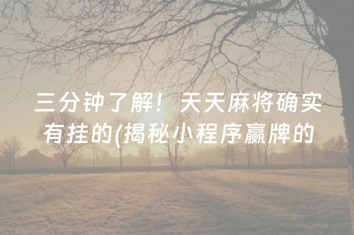 三分钟了解！天天麻将确实有挂的(揭秘小程序赢牌的技巧)