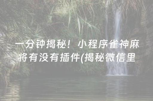 一分钟揭秘！小程序雀神麻将有没有插件(揭秘微信里助手软件)