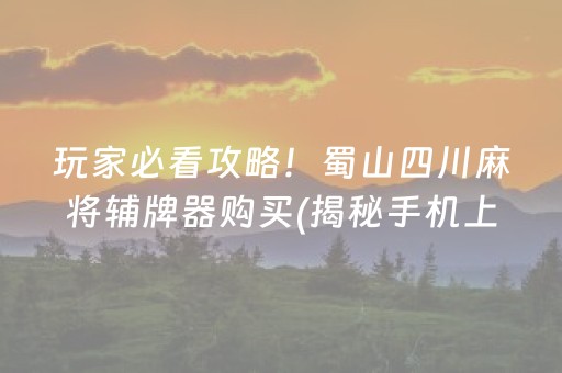 玩家必看攻略！蜀山四川麻将辅牌器购买(揭秘手机上系统发好牌)