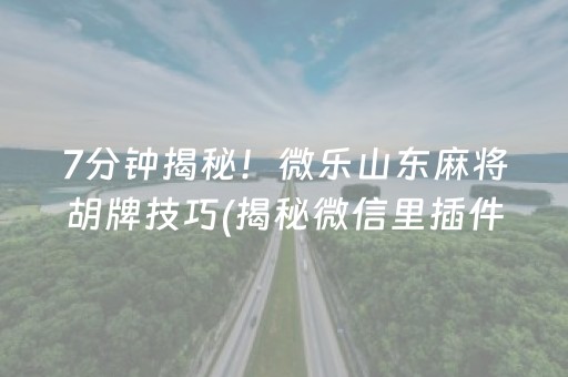 7分钟揭秘！微乐山东麻将胡牌技巧(揭秘微信里插件免费)