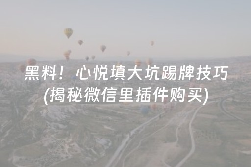 黑料！心悦填大坑踢牌技巧(揭秘微信里插件购买)