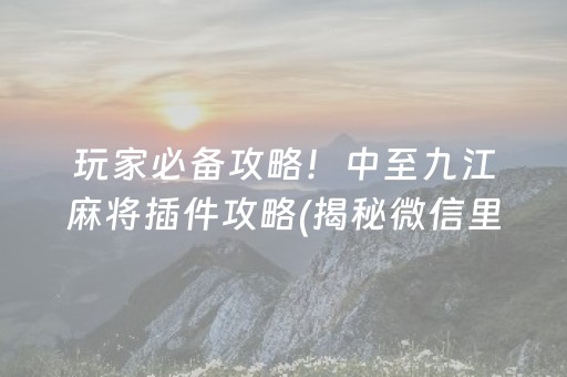 玩家必备攻略！中至九江麻将插件攻略(揭秘微信里插件免费)