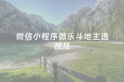 微信小程序微乐斗地主透视挂（微乐斗地主小程序透视是真的吗）
