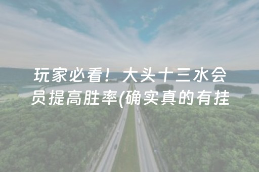 玩家必看！大头十三水会员提高胜率(确实真的有挂)