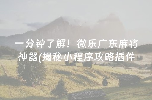 一分钟了解！微乐广东麻将神器(揭秘小程序攻略插件)