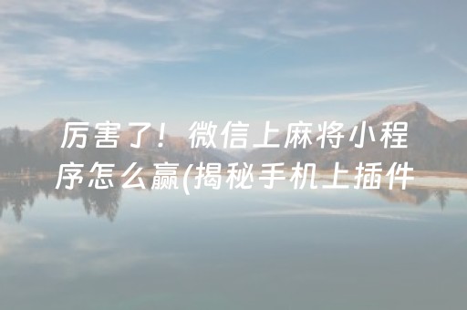厉害了！微信上麻将小程序怎么赢(揭秘手机上插件下载)