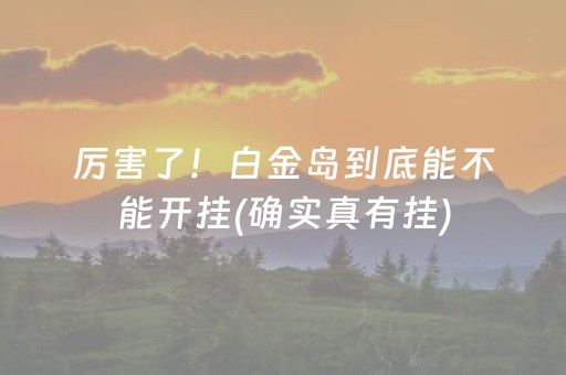 厉害了！白金岛到底能不能开挂(确实真有挂)