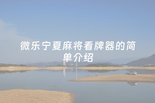 微乐宁夏麻将看牌器的简单介绍