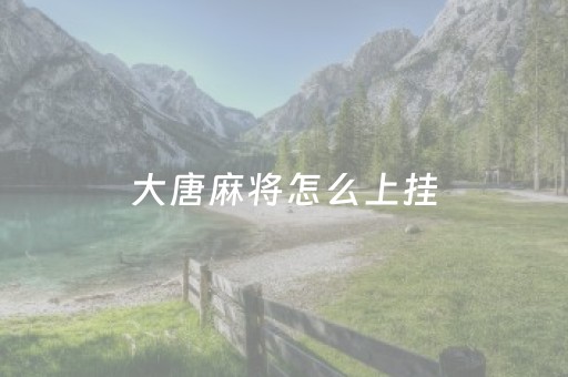 大唐麻将怎么上挂（大唐麻将 挂买）