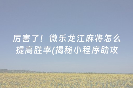 厉害了！微乐龙江麻将怎么提高胜率(揭秘小程序助攻神器)