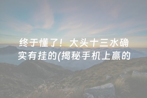 终于懂了！大头十三水确实有挂的(揭秘手机上赢的秘诀)