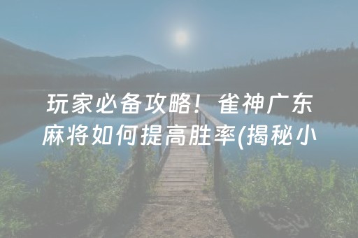 玩家必备攻略！雀神广东麻将如何提高胜率(揭秘小程序赢牌技巧)