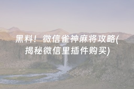 黑料！微信雀神麻将攻略(揭秘微信里插件购买)