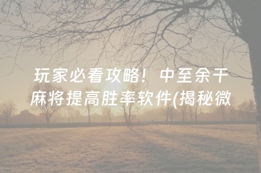 玩家必看攻略！中至余干麻将提高胜率软件(揭秘微信里提高赢的概率)