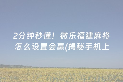2分钟秒懂！微乐福建麻将怎么设置会赢(揭秘手机上赢的诀窍)