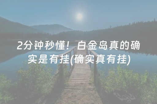 2分钟秒懂！白金岛真的确实是有挂(确实真有挂)
