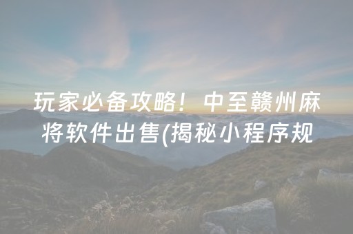 玩家必备攻略！中至赣州麻将软件出售(揭秘小程序规律攻略)