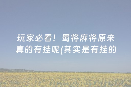 玩家必看！蜀将麻将原来真的有挂呢(其实是有挂的)