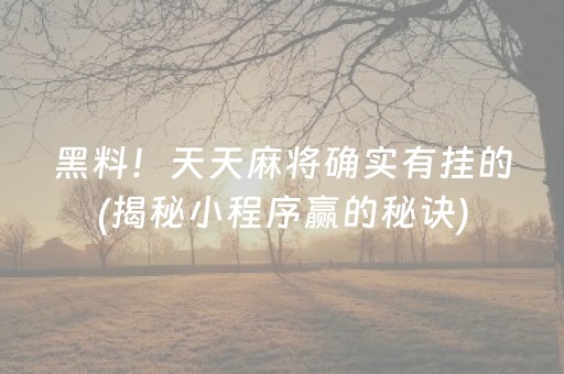 黑料！天天麻将确实有挂的(揭秘小程序赢的秘诀)