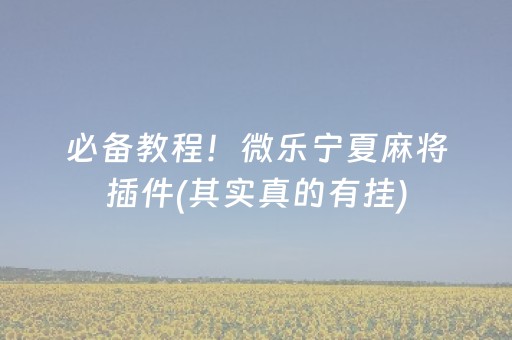 必备教程！微乐宁夏麻将插件(其实真的有挂)