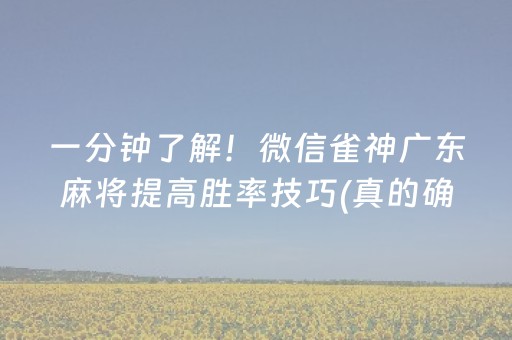 一分钟了解！微信雀神广东麻将提高胜率技巧(真的确实是有挂)