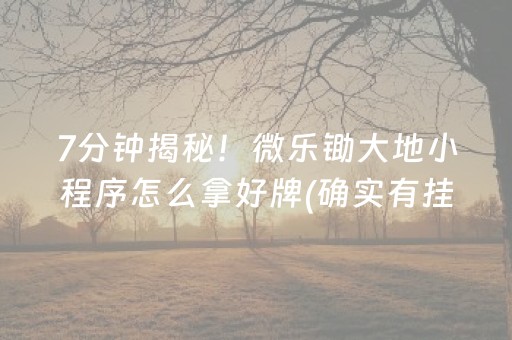 7分钟揭秘！微乐锄大地小程序怎么拿好牌(确实有挂吗)