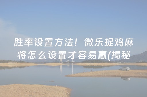 胜率设置方法！微乐捉鸡麻将怎么设置才容易赢(揭秘小程序提高胜率)