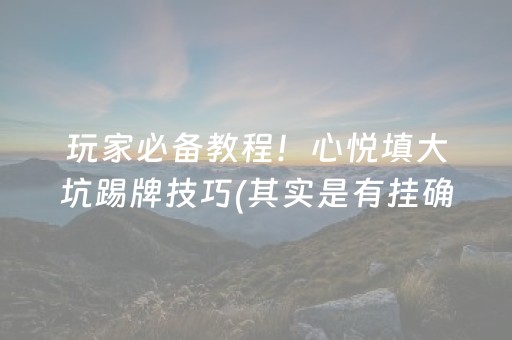 玩家必备教程！心悦填大坑踢牌技巧(其实是有挂确实有挂)