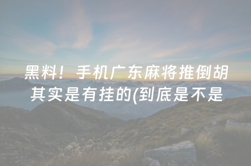 黑料！手机广东麻将推倒胡其实是有挂的(到底是不是有挂)