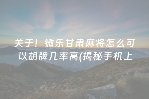 关于！微乐甘肃麻将怎么可以胡牌几率高(揭秘手机上插件下载)