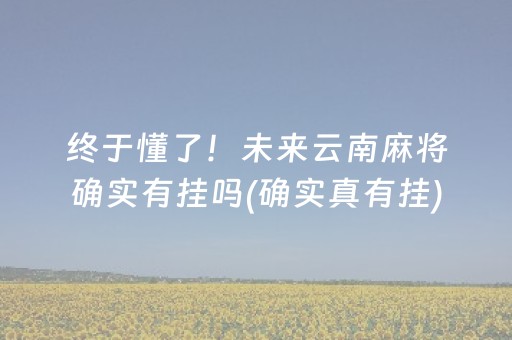 终于懂了！未来云南麻将确实有挂吗(确实真有挂)