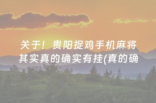 关于！贵阳捉鸡手机麻将其实真的确实有挂(真的确实是有挂)