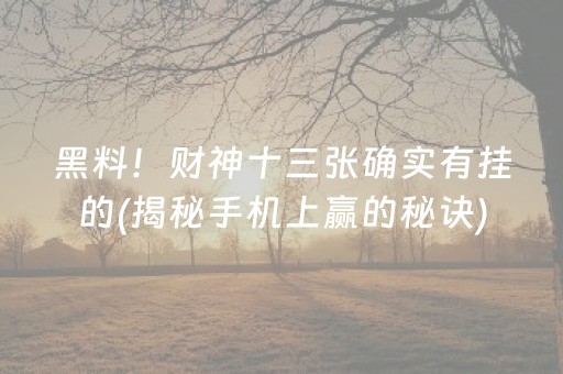 黑料！财神十三张确实有挂的(揭秘手机上赢的秘诀)