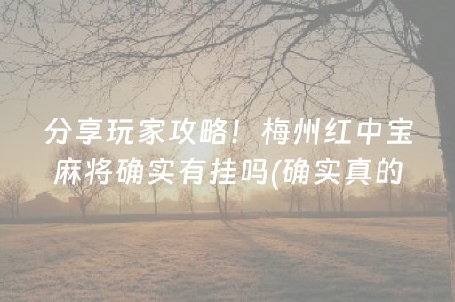 分享玩家攻略！梅州红中宝麻将确实有挂吗(确实真的有挂)