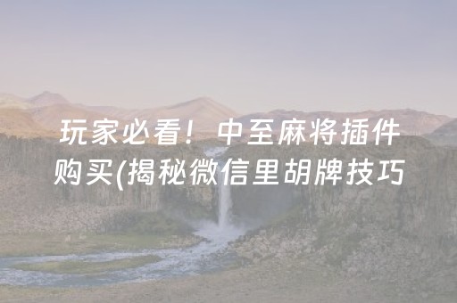 玩家必看！中至麻将插件购买(揭秘微信里胡牌技巧)