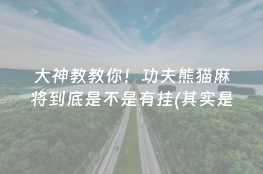 大神教教你！功夫熊猫麻将到底是不是有挂(其实是有挂确实有挂)