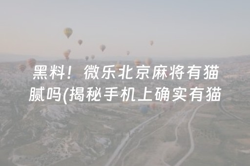黑料！微乐北京麻将有猫腻吗(揭秘手机上确实有猫腻)