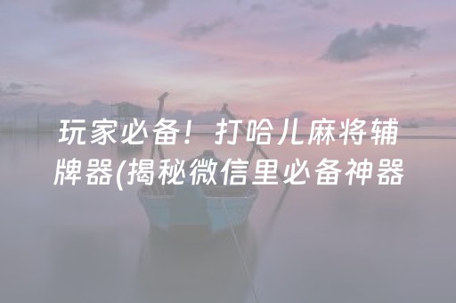 玩家必备！打哈儿麻将辅牌器(揭秘微信里必备神器)